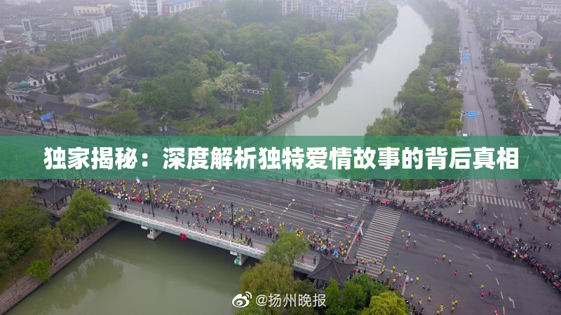 独家揭秘：深度解析独特爱情故事的背后真相