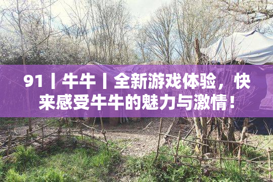 91丨牛牛丨全新游戏体验，快来感受牛牛的魅力与激情！
