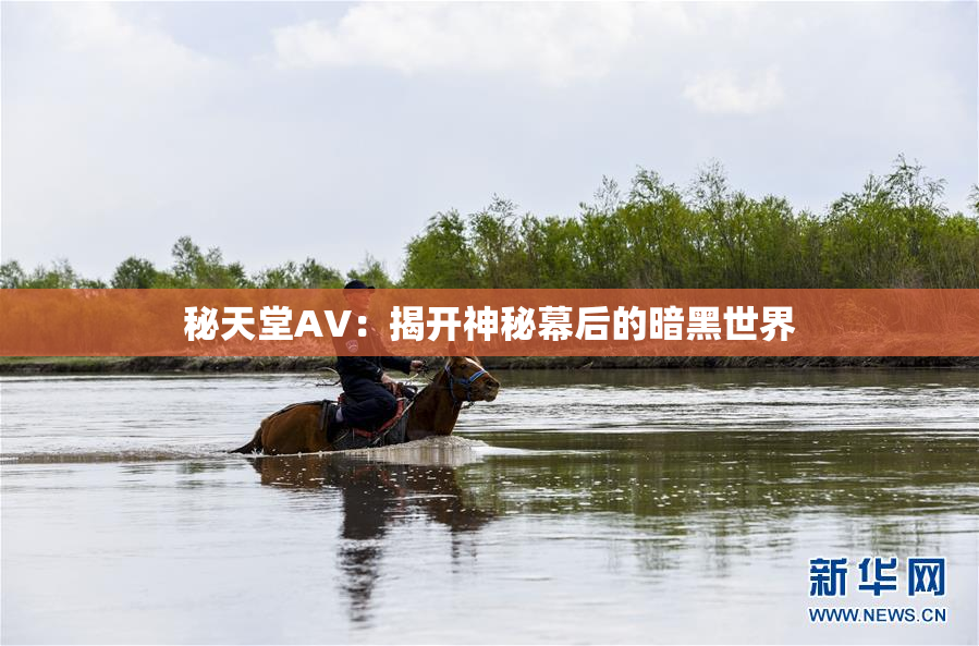 秘天堂AV：揭开神秘幕后的暗黑世界