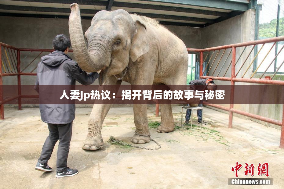 人妻Jp热议：揭开背后的故事与秘密