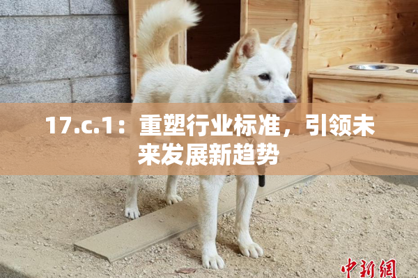 17.c.1：重塑行业标准，引领未来发展新趋势