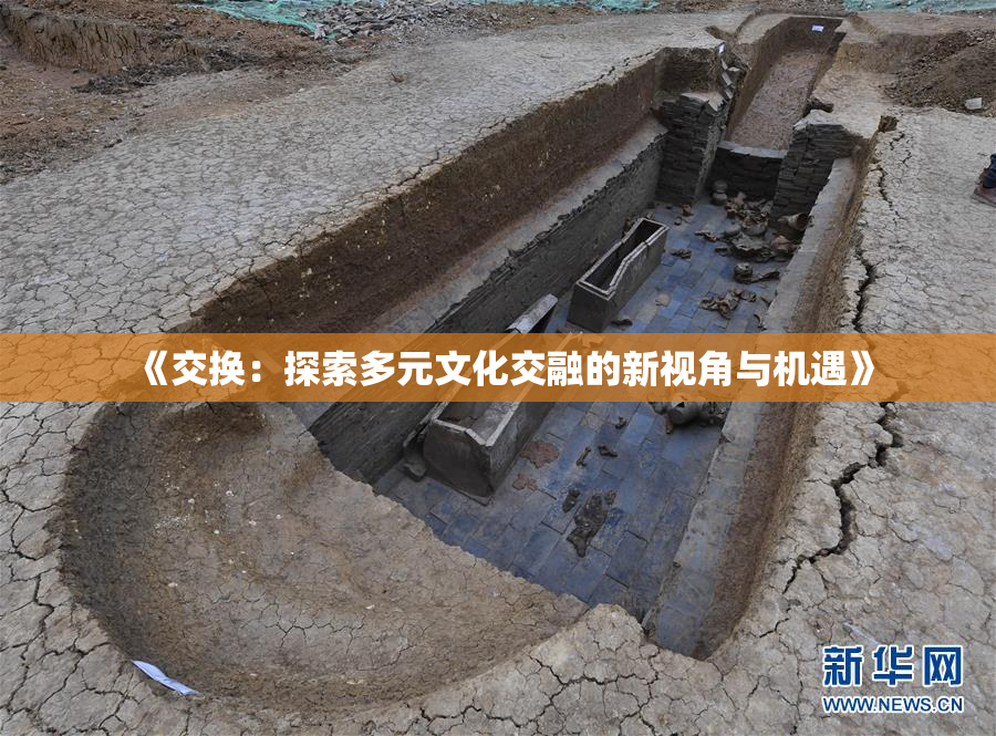 《交换：探索多元文化交融的新视角与机遇》