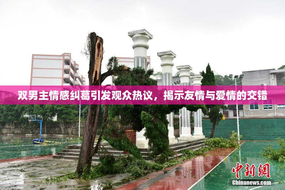 双男主情感纠葛引发观众热议，揭示友情与爱情的交错