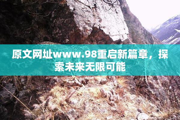 原文网址www.98重启新篇章，探索未来无限可能