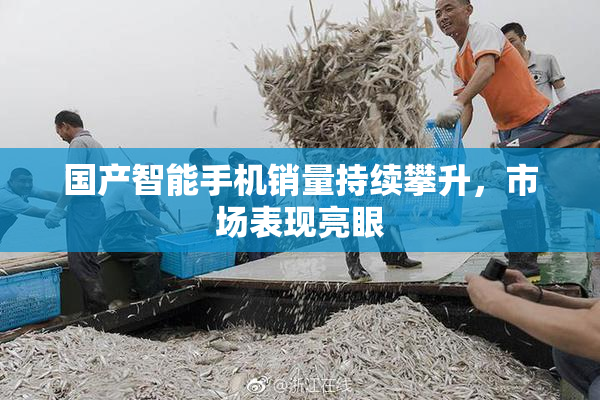 国产智能手机销量持续攀升，市场表现亮眼