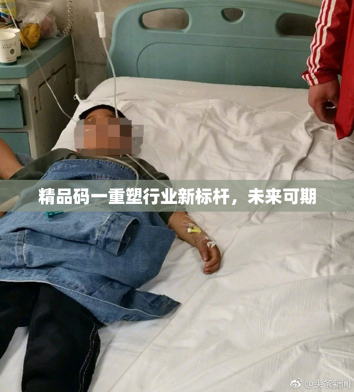 精品码一重塑行业新标杆，未来可期