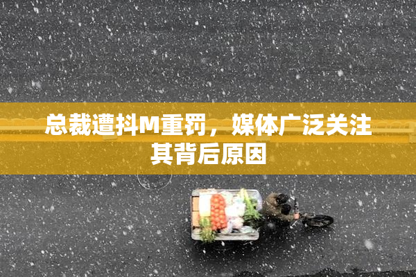 总裁遭抖M重罚，媒体广泛关注其背后原因