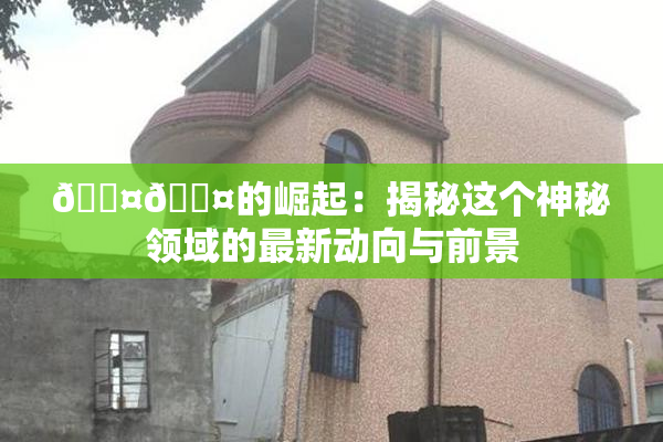 🐤🐤的崛起：揭秘这个神秘领域的最新动向与前景