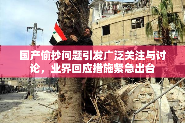 国产偷抄问题引发广泛关注与讨论，业界回应措施紧急出台