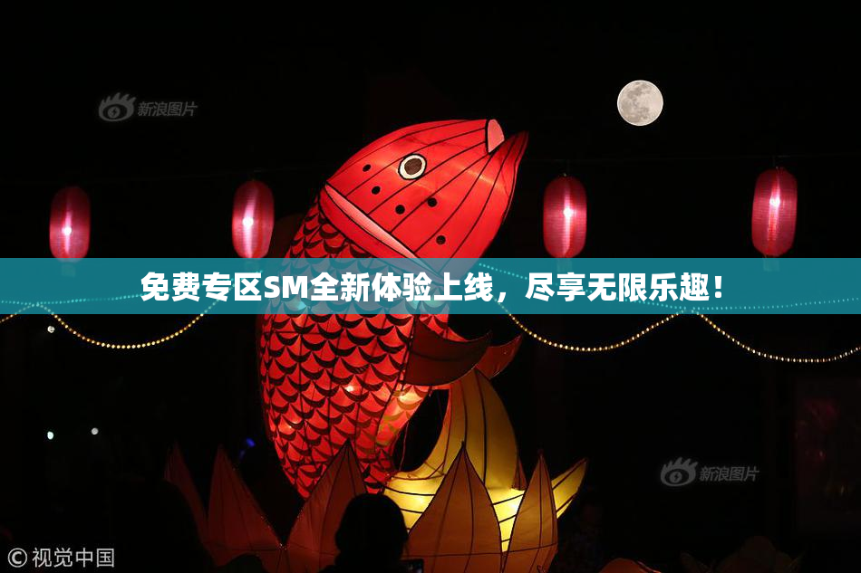 免费专区SM全新体验上线，尽享无限乐趣！