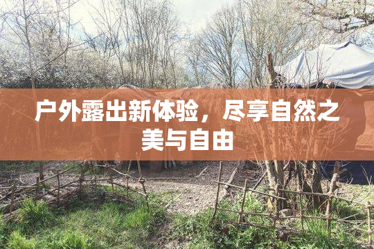 户外露出新体验，尽享自然之美与自由