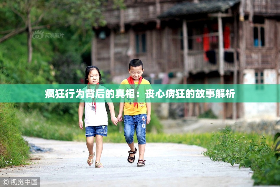 疯狂行为背后的真相：丧心病狂的故事解析