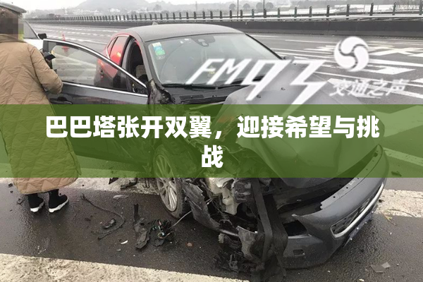 巴巴塔张开双翼，迎接希望与挑战
