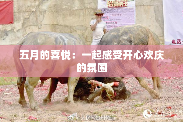 五月的喜悦：一起感受开心欢庆的氛围