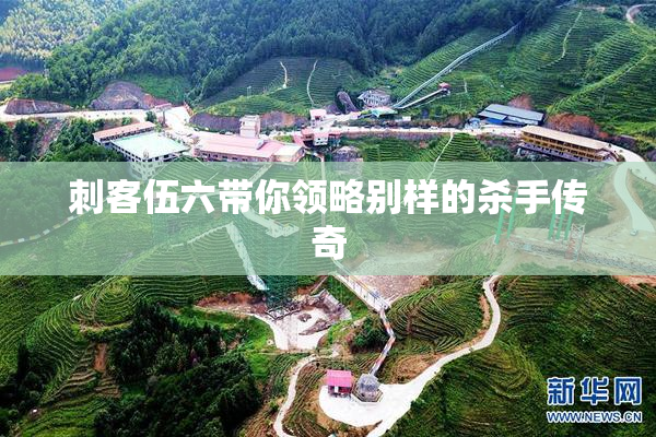 刺客伍六带你领略别样的杀手传奇