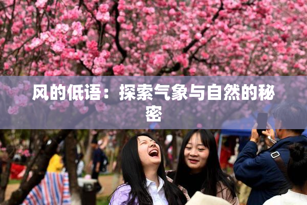 风的低语：探索气象与自然的秘密