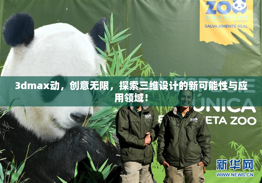 3dmax动，创意无限，探索三维设计的新可能性与应用领域！