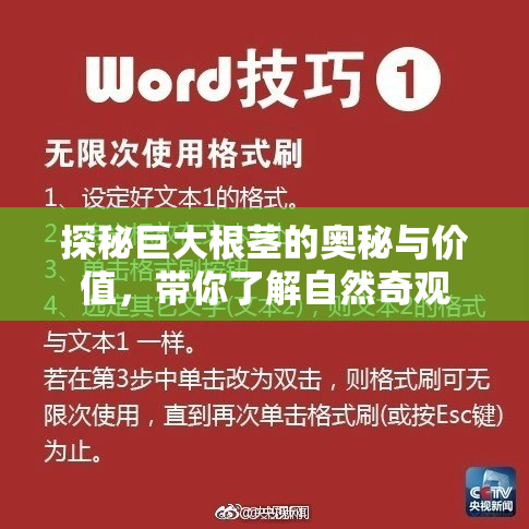 探秘巨大根茎的奥秘与价值，带你了解自然奇观