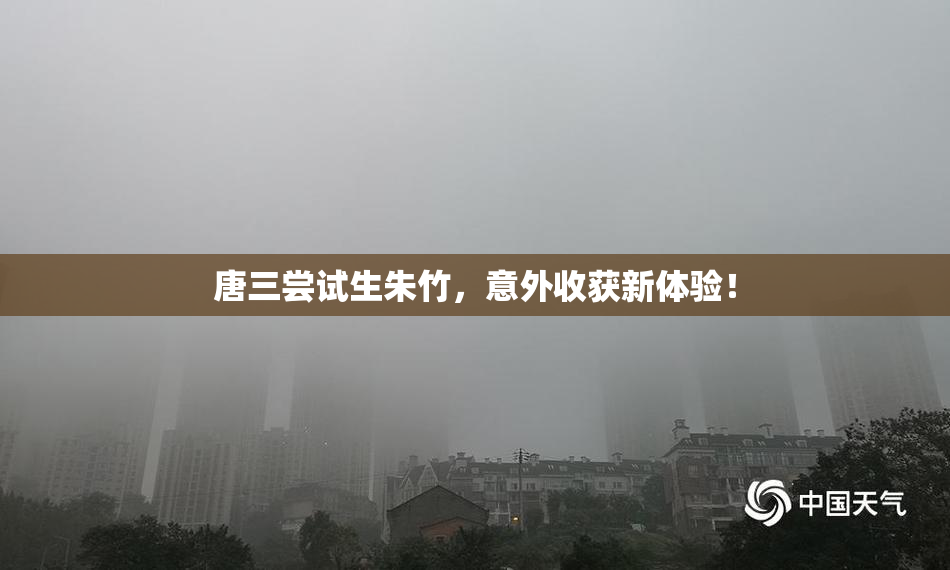 唐三尝试生朱竹，意外收获新体验！