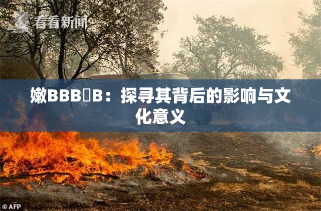 嫩BBB槡B：探寻其背后的影响与文化意义