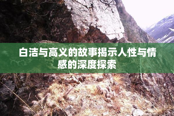 白洁与高义的故事揭示人性与情感的深度探索