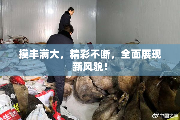 摸丰满大，精彩不断，全面展现新风貌！