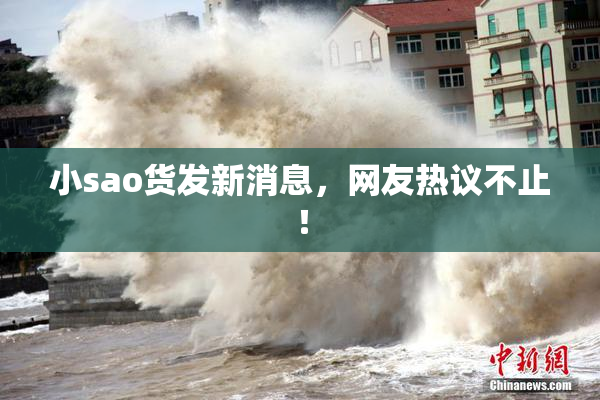 小sao货发新消息，网友热议不止！