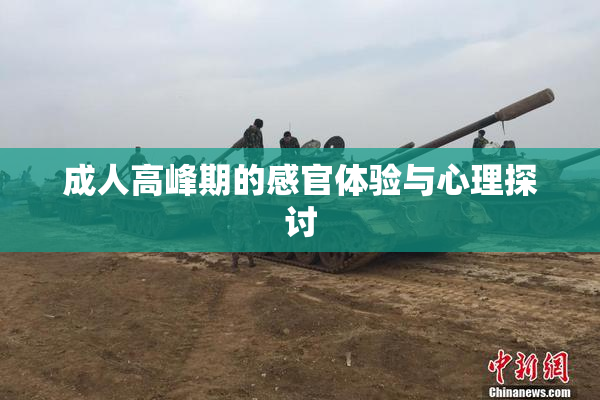 成人高峰期的感官体验与心理探讨