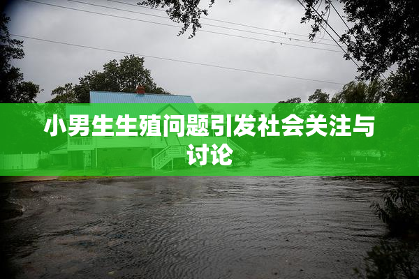 小男生生殖问题引发社会关注与讨论