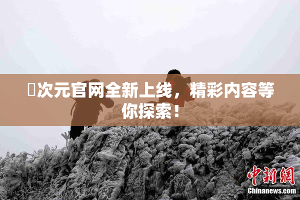 囧次元官网全新上线，精彩内容等你探索！