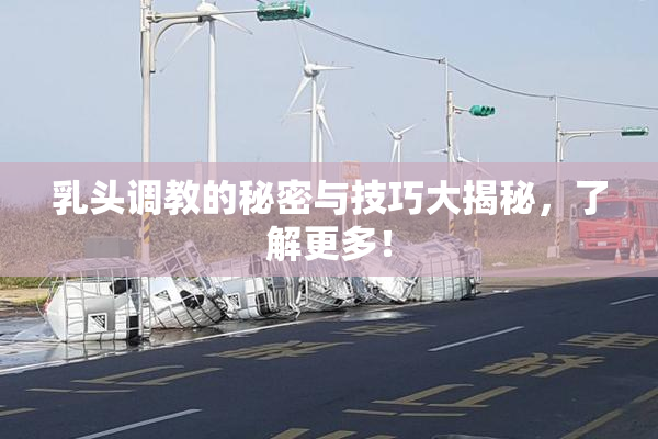 乳头调教的秘密与技巧大揭秘，了解更多！