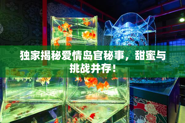 独家揭秘爱情岛官秘事，甜蜜与挑战并存！