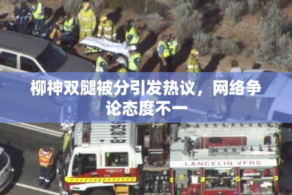 柳神双腿被分引发热议，网络争论态度不一