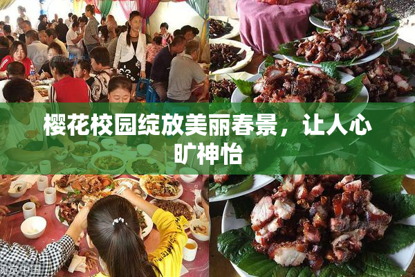 樱花校园绽放美丽春景，让人心旷神怡