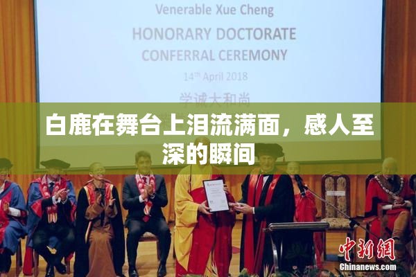 白鹿在舞台上泪流满面，感人至深的瞬间