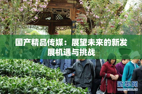 国产精品传媒：展望未来的新发展机遇与挑战