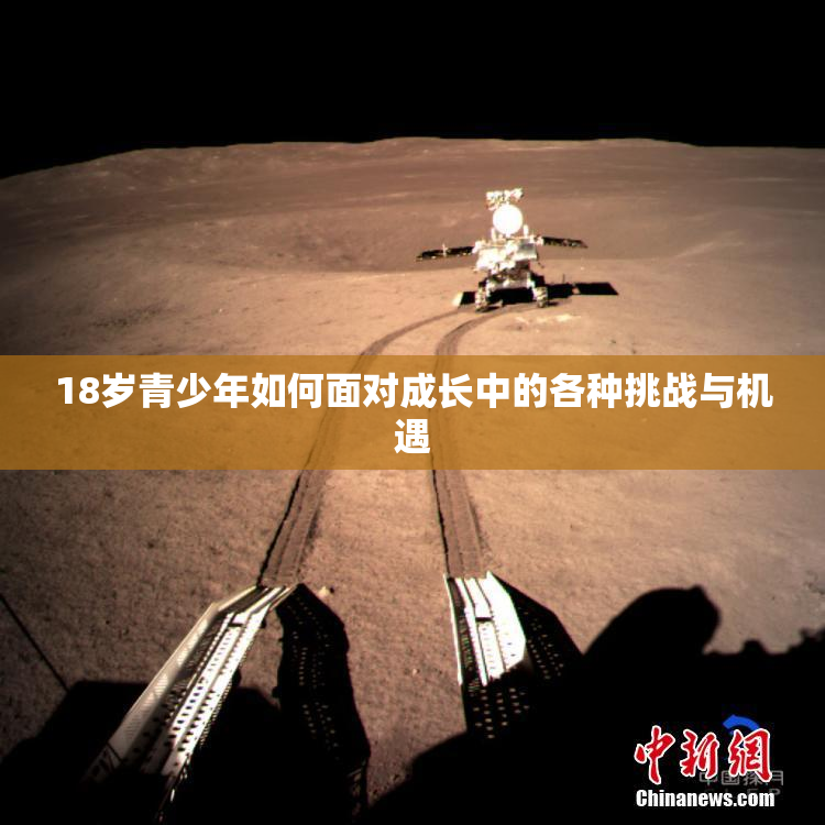 18岁青少年如何面对成长中的各种挑战与机遇