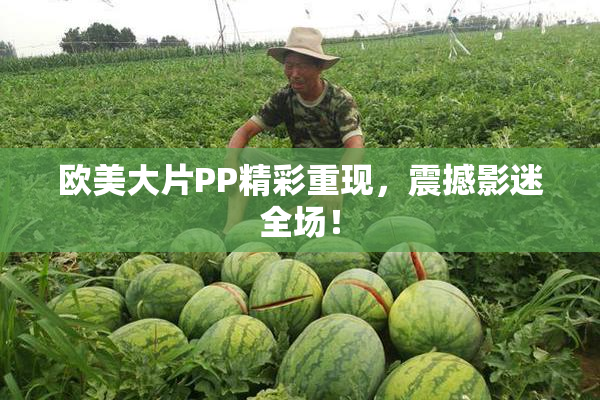 欧美大片PP精彩重现，震撼影迷全场！