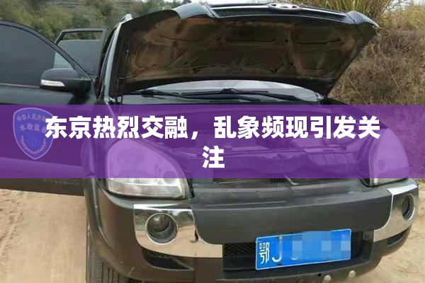 东京热烈交融，乱象频现引发关注