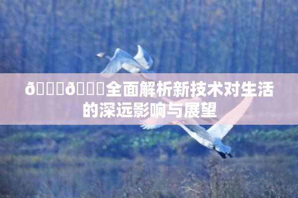 🔞🍆全面解析新技术对生活的深远影响与展望