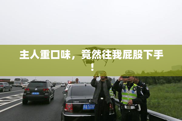 主人重口味，竟然往我屁股下手！