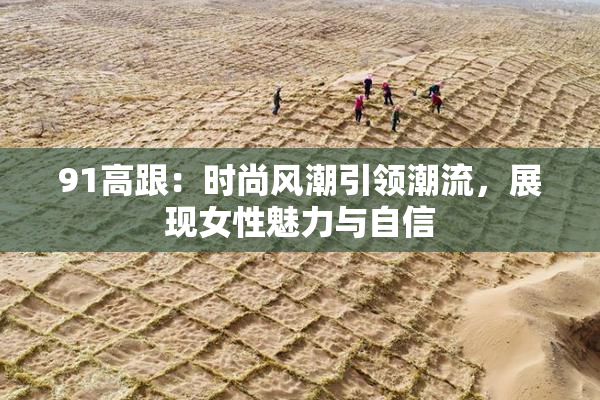 91高跟：时尚风潮引领潮流，展现女性魅力与自信