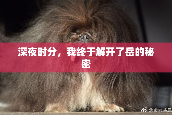 深夜时分，我终于解开了岳的秘密