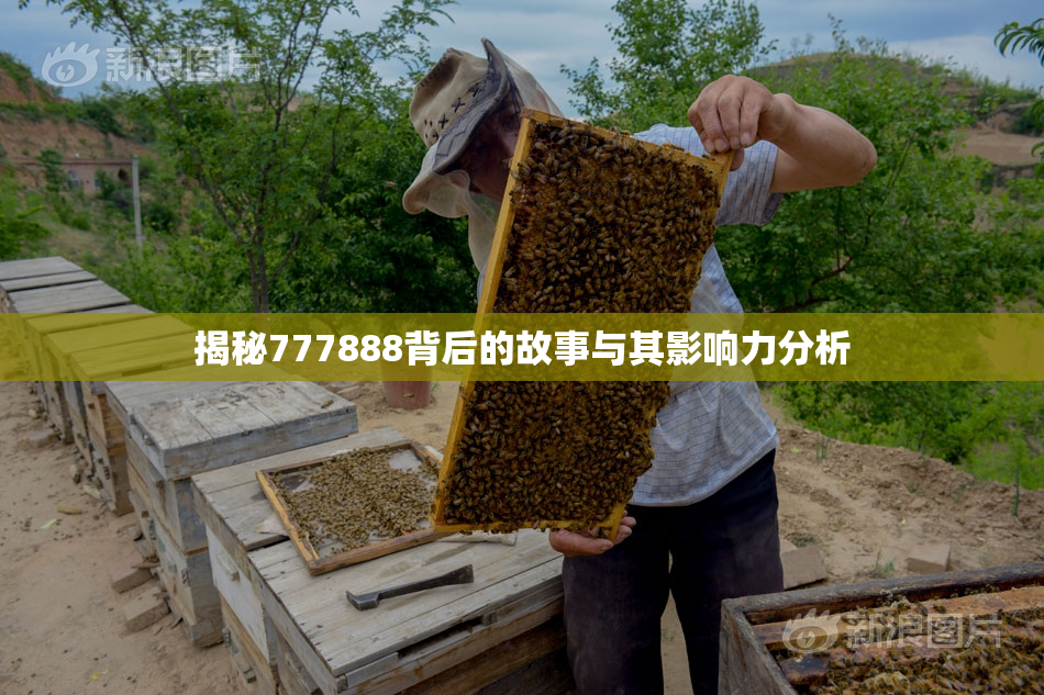 揭秘777888背后的故事与其影响力分析