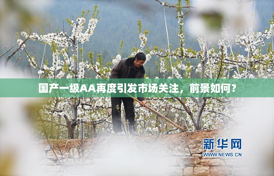 国产一级AA再度引发市场关注，前景如何？