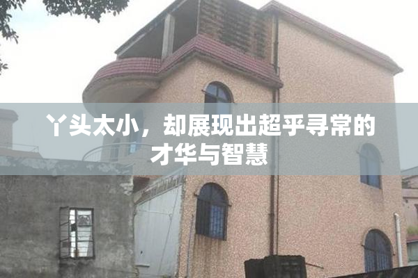 丫头太小，却展现出超乎寻常的才华与智慧