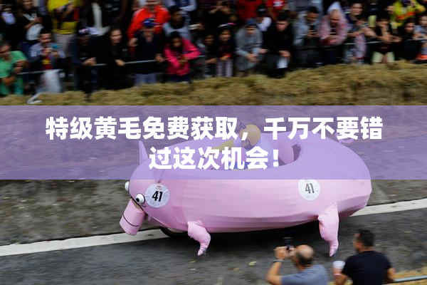 特级黄毛免费获取，千万不要错过这次机会！
