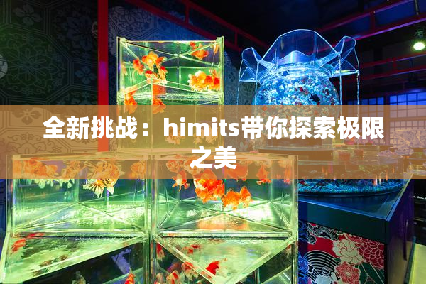 全新挑战：himits带你探索极限之美