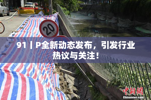 91丨P全新动态发布，引发行业热议与关注！
