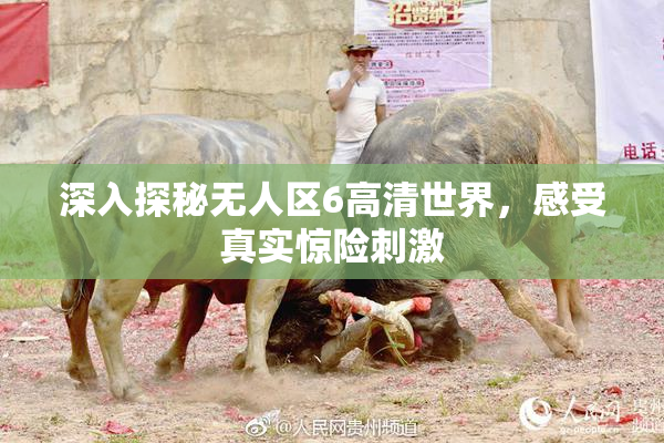 深入探秘无人区6高清世界，感受真实惊险刺激